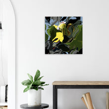 Load image into Gallery viewer, 6552aa2d-ce4c-4e20-abc4-7478c40cbf8d